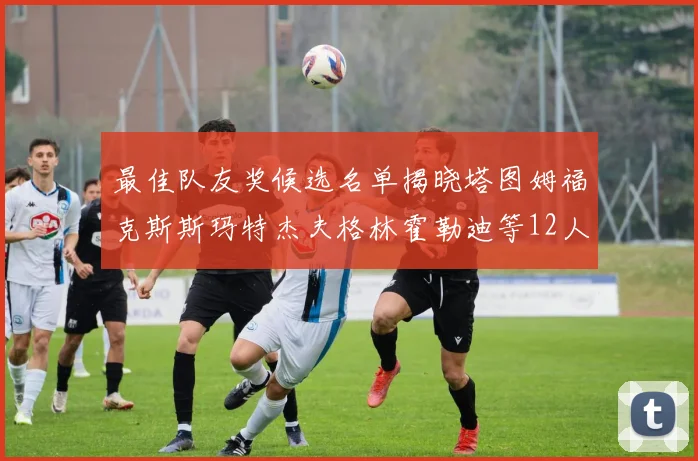 最佳队友奖候选名单揭晓塔图姆福克斯斯玛特杰夫格林霍勒迪等12人争夺荣耀